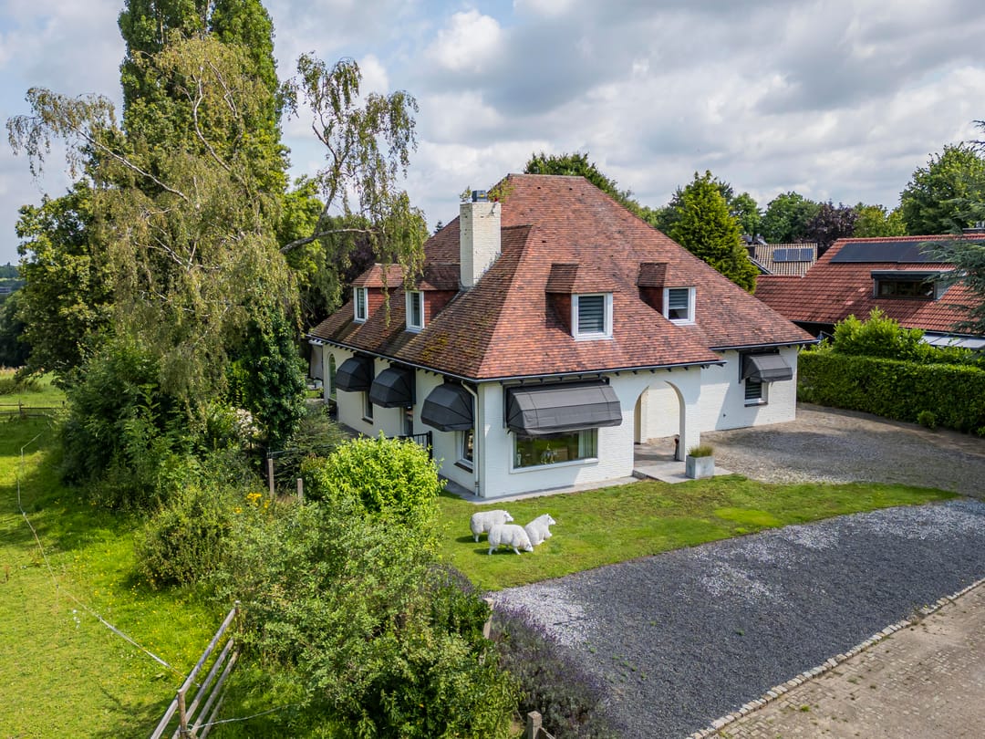 Foto 38 van Bernard Pothaststraat 31