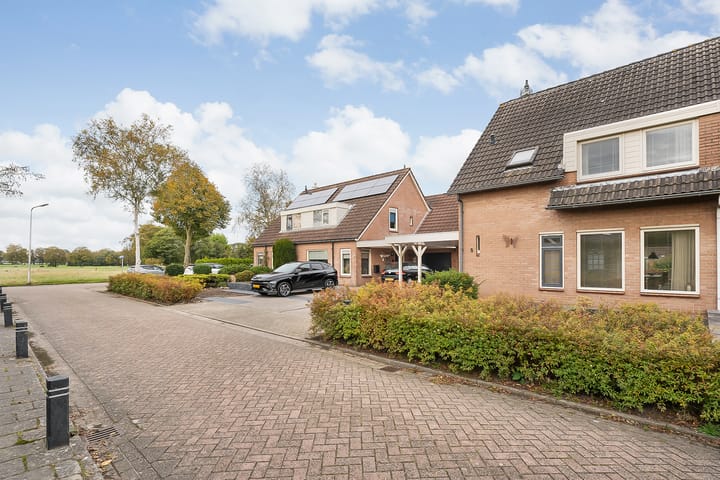 Foto 3 van Tentakkers 5