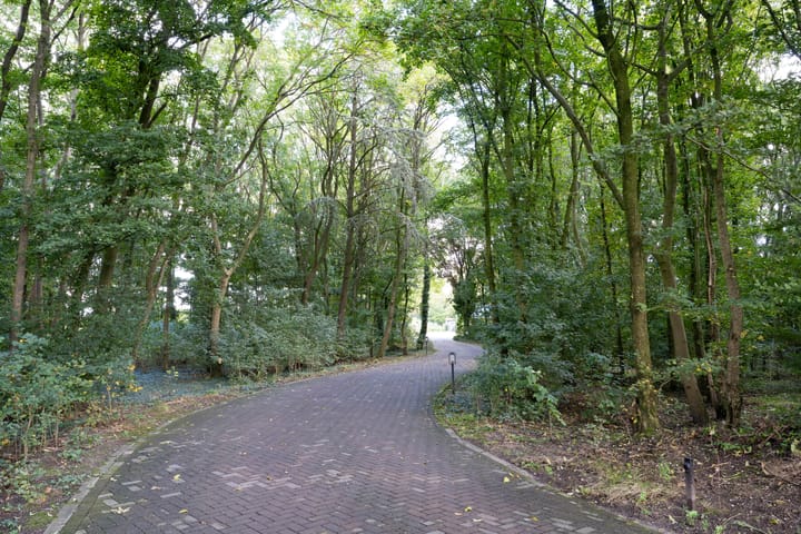 Foto 6 van Landweerdijk 3