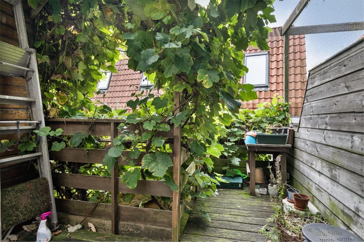 Foto 4 van Zuiddijk 286