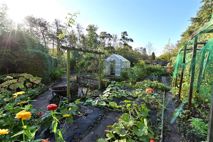 Bekijk foto van Oud Loosdrechtsedijk 68 nabij 0 ong