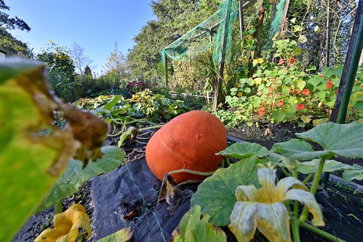 Bekijk foto 2 van Oud Loosdrechtsedijk 68 nabij