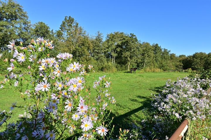 Bekijk foto 4 van Oud Loosdrechtsedijk 68 nabij