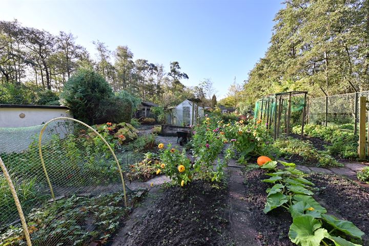 Bekijk foto 8 van Oud Loosdrechtsedijk 68 nabij