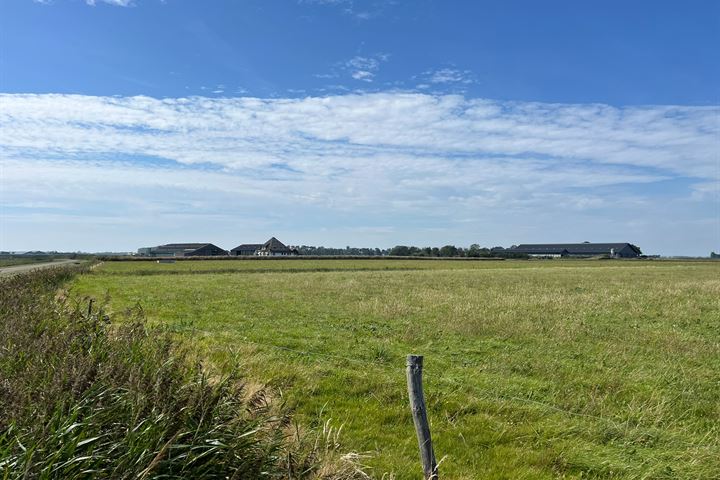 cultuurgrond bij Spangerweg, De Waal