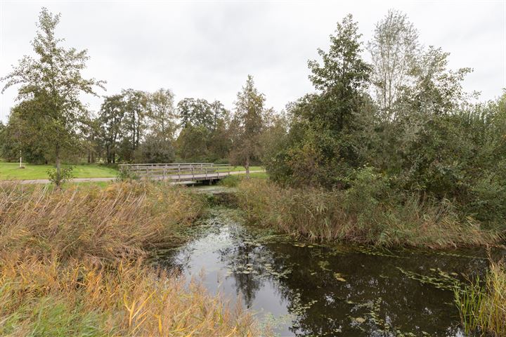 Bekijk foto 35 van Watersingel 50