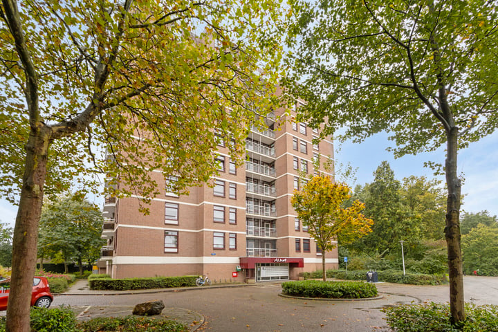 Bekijk foto 30 van Silhof 22