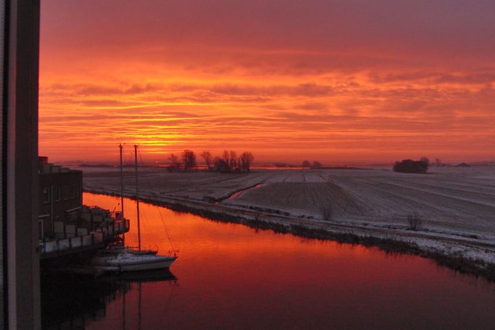 Bekijk foto 50 van Kleine vos 28