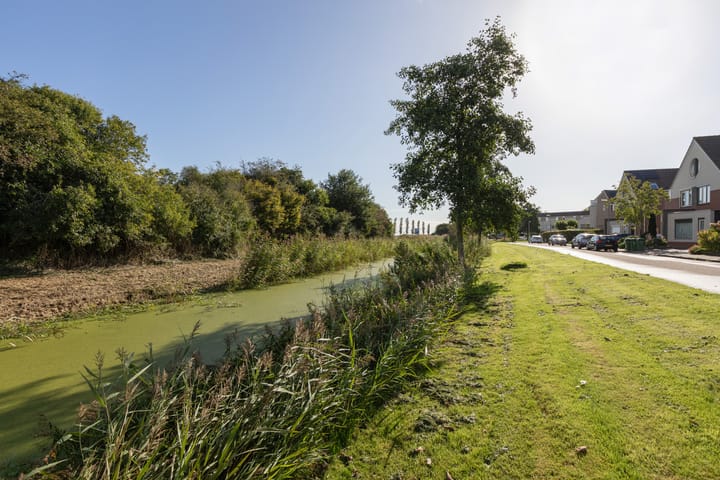 Foto 43 van it Bûtlân 61