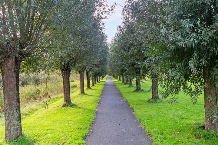 Bekijk foto 45 van van Koetsveldlaan 9