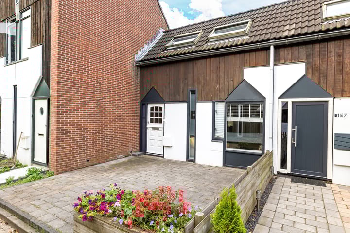 Foto 1 van Kanariesprenk 155