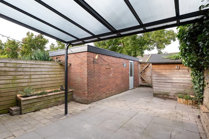 Foto 5 van Kanariesprenk 155