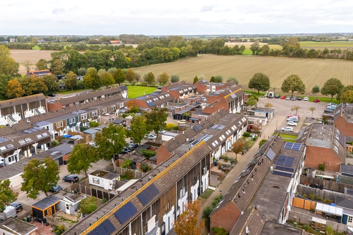 Foto 7 van Kanariesprenk 155