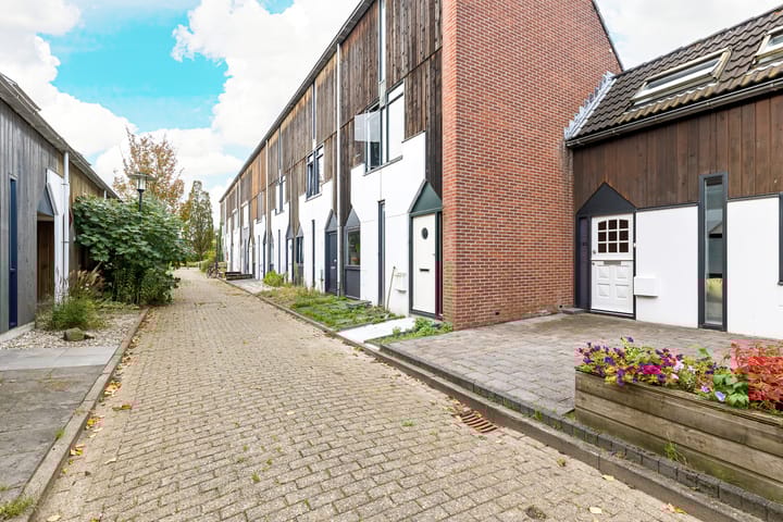 Foto 9 van Kanariesprenk 155