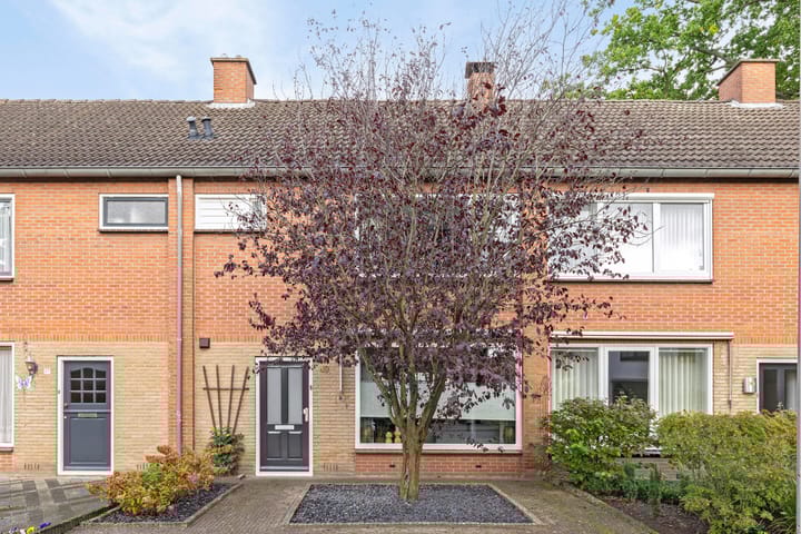 Foto 30 van Spittendijk 49