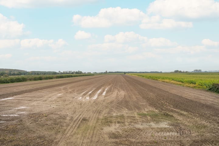 Foto 46 van Hogestraat 15