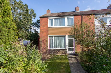 undefined main image