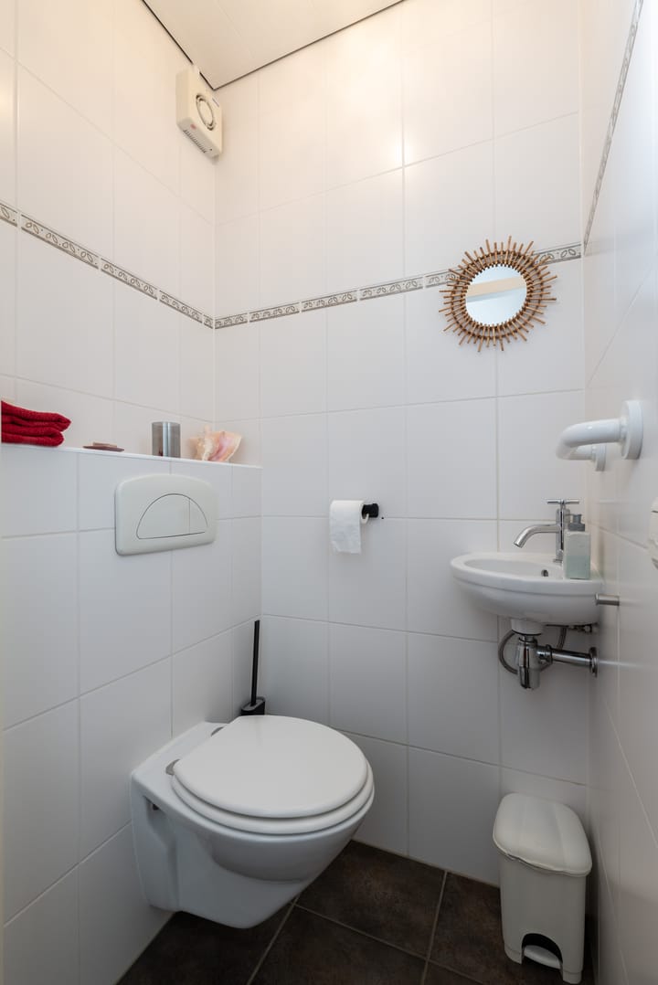 Foto 16 van de Iep 3