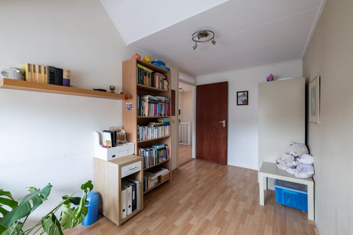 Foto 21 van de Iep 3