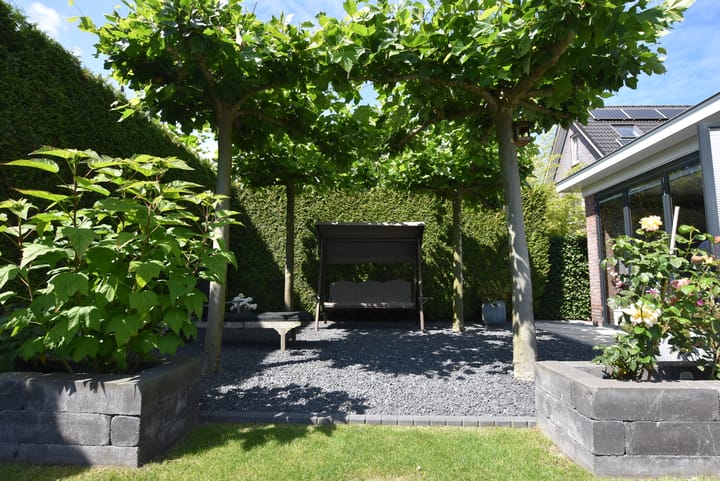 Foto 41 van Fraeylemaborg 14