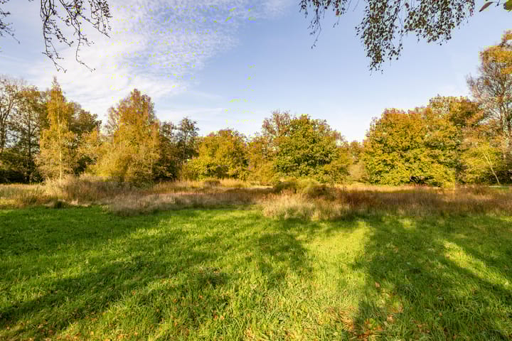 Foto 55 van Veeningen 36