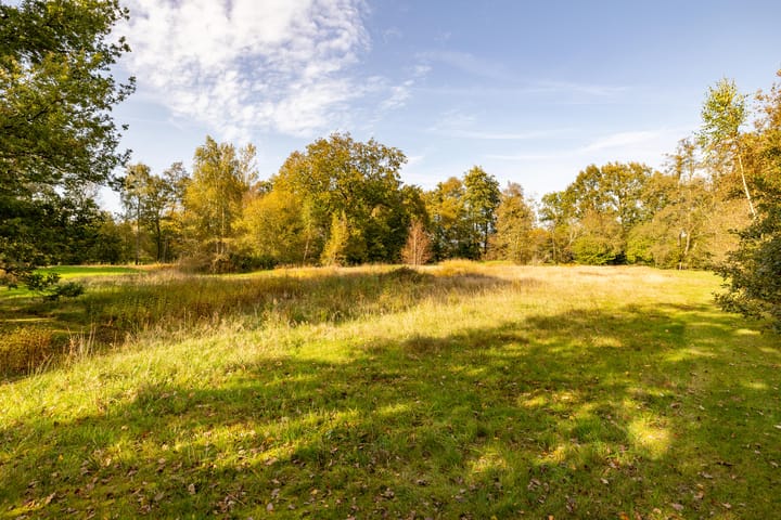 Foto 68 van Veeningen 36