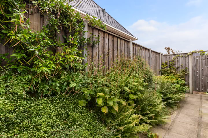 Foto 39 van Houtsingel 24