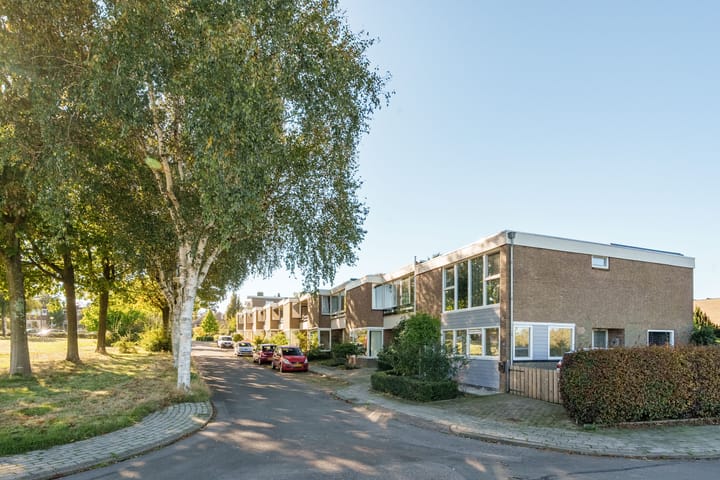 Foto 2 van Boeslaan 65