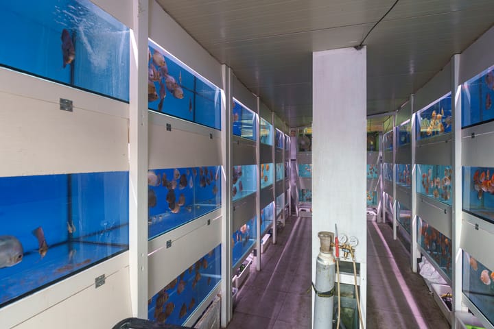 Foto 22 van Delflandstraat 7