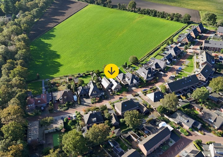 Foto 2 van Blauwgras 7