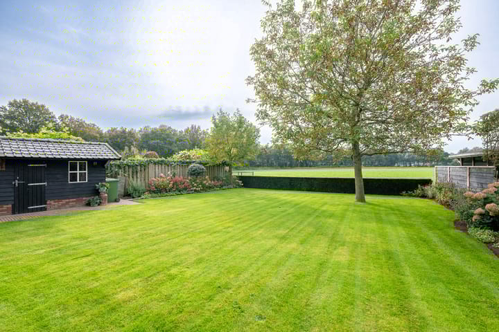 Foto 40 van Blauwgras 7