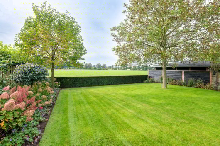 Foto 42 van Blauwgras 7