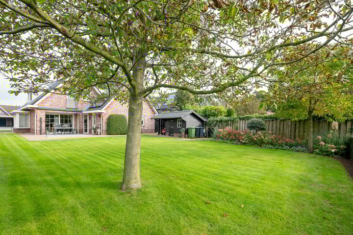 Foto 45 van Blauwgras 7