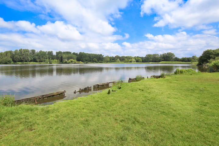 Foto 38 van Larixlaan 50