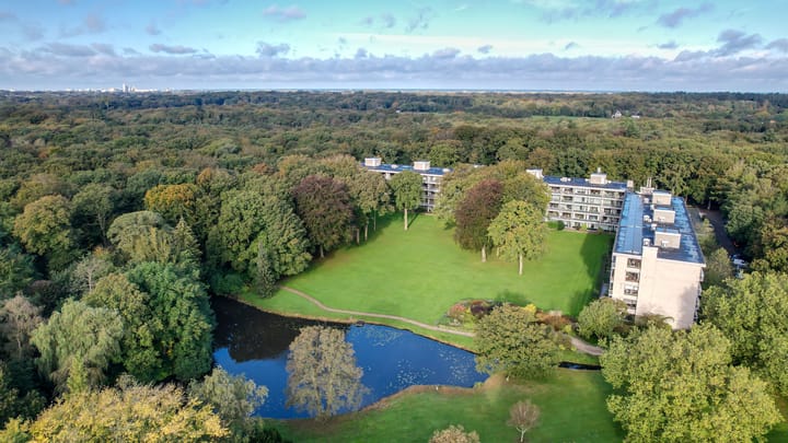 Foto 21 van Stoeplaan 11-F25