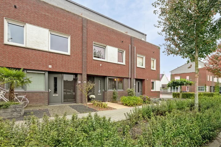 Foto 5 van Muntmeester 300