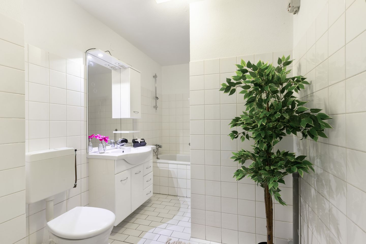 Foto 20 van Jan Dirk z'n Dal 25