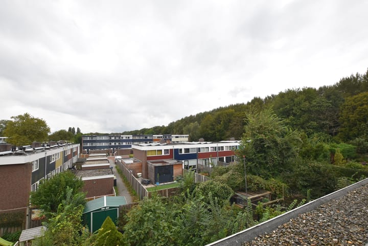 Foto 17 van Slinge 12