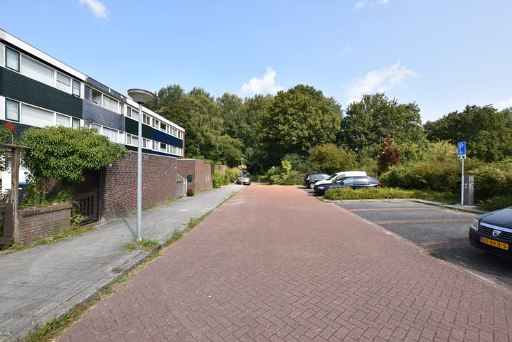 Foto 22 van Slinge 12