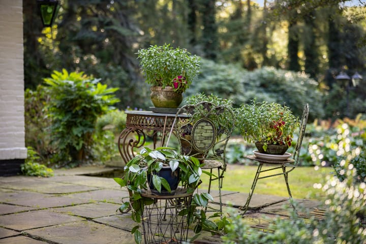 Foto 32 van Groteweg 44