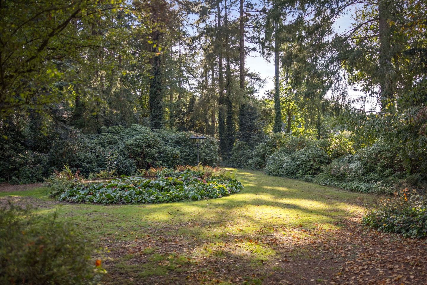 Foto 34 van Groteweg 44