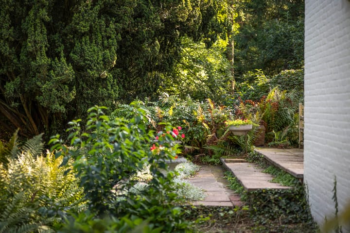 Foto 39 van Groteweg 44