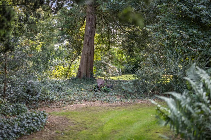 Foto 43 van Groteweg 44