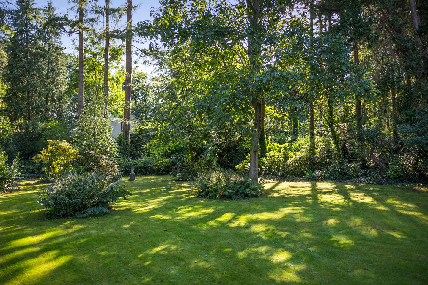 Foto 50 van Groteweg 44