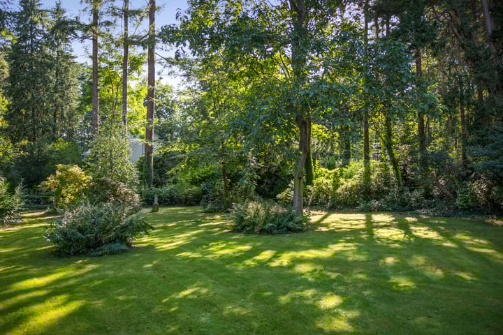 Foto 50 van Groteweg 44