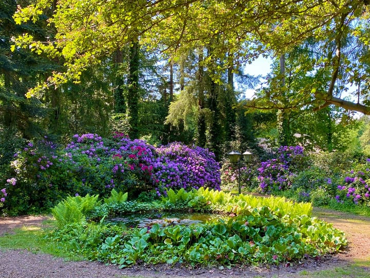 Foto 52 van Groteweg 44