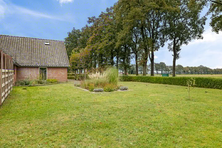 Foto 6 van Borgerzijtak 22