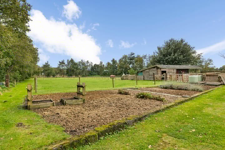 Photo 9 of Borgerzijtak 22