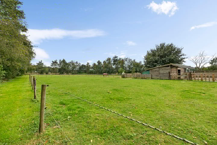 Photo 10 of Borgerzijtak 22