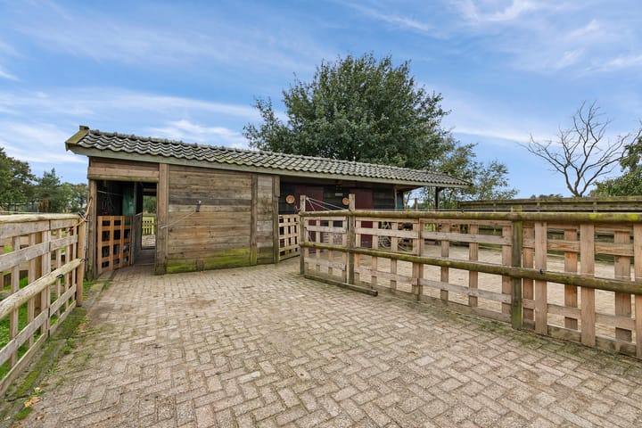 Photo 40 of Borgerzijtak 22